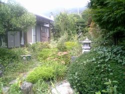 整地_a0129492_1453022.jpg