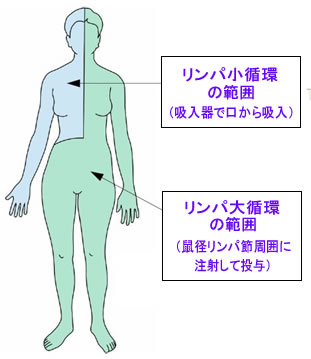 会って来ました、ガストン・ネサン! (5/5) ~ 研修最終日_b0140293_13232012.jpg