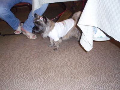 c0086895_15333522.jpg