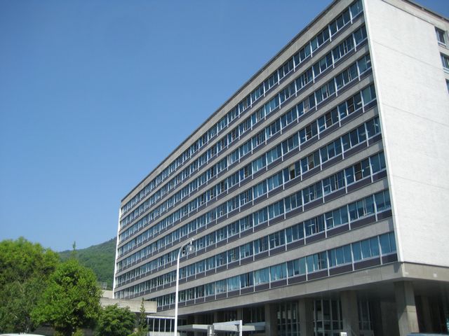 c0099395_16361829.jpg