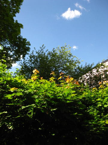c0180096_9215833.jpg