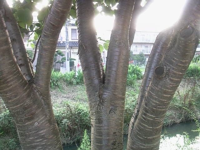 f0024708_0143715.jpg