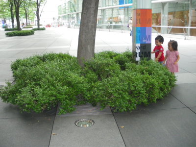 f0041311_019111.jpg