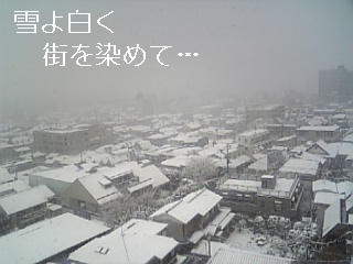 雪が街を純白に染めて…_b0183113_2252122.jpg