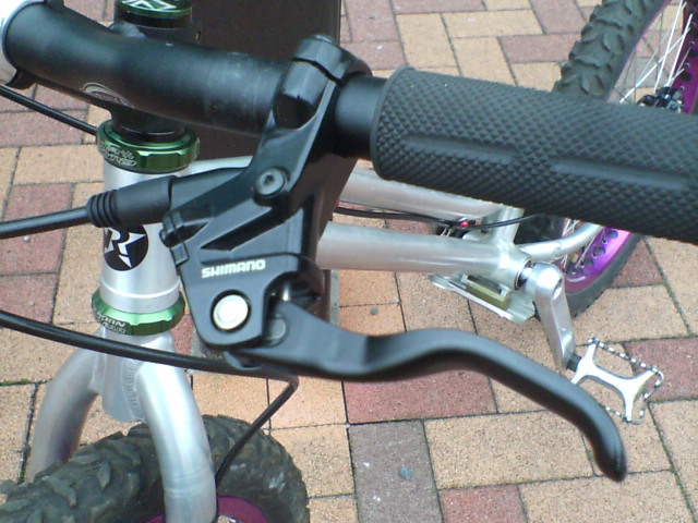 c0100318_15133937.jpg
