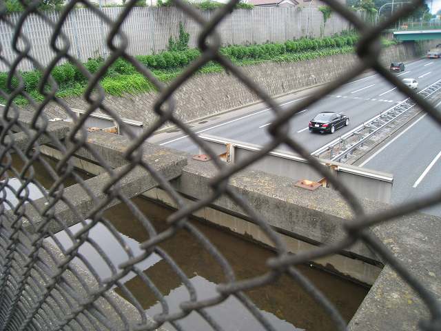 e0117318_13472395.jpg