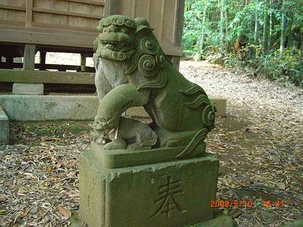 無名神社の狛犬　１_d0065324_2059417.jpg