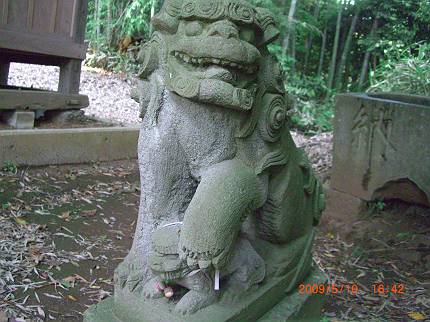 無名神社の狛犬　１_d0065324_213814.jpg