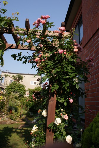 f0170524_15403813.jpg