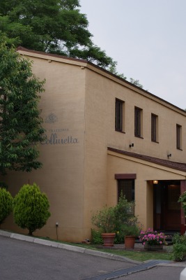 f0170524_1581344.jpg