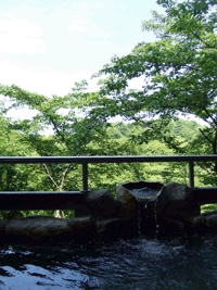 c0188928_20392331.gif