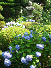 c0188928_20393522.gif