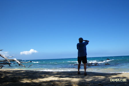 c0024729_237940.jpg