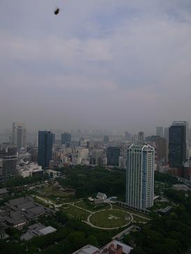 b0078833_18413132.jpg