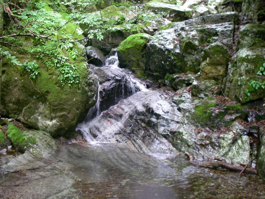 f0039234_23565515.jpg