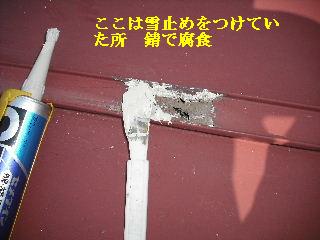 雨漏り修理工事_f0031037_2054423.jpg