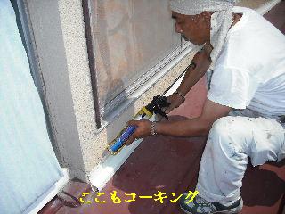 雨漏り修理工事_f0031037_205540100.jpg