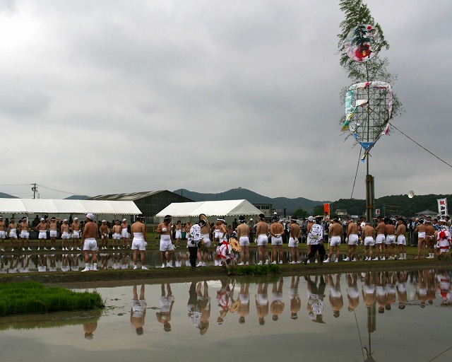 お田植え（磯部・伊雑宮（いざわの宮）　御田植え祭）_d0052340_1705866.jpg