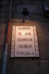e0034141_9191325.gif