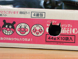 ネコにゃ、ありがとう_c0191542_1032973.jpg