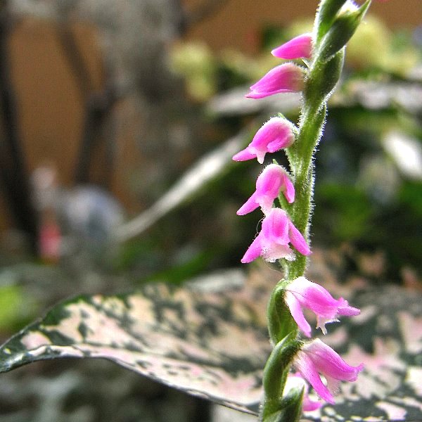 b0165444_2372998.jpg