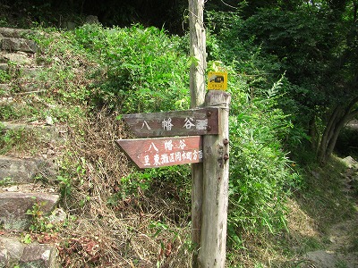 八幡谷から西お多福山・最高峰・有馬温泉へ_a0122149_18182388.jpg