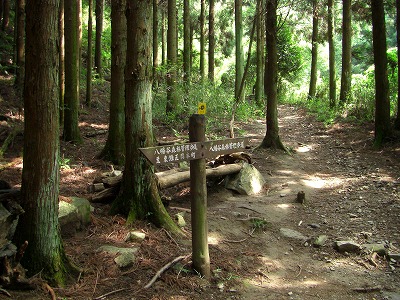 八幡谷から西お多福山・最高峰・有馬温泉へ_a0122149_1821583.jpg