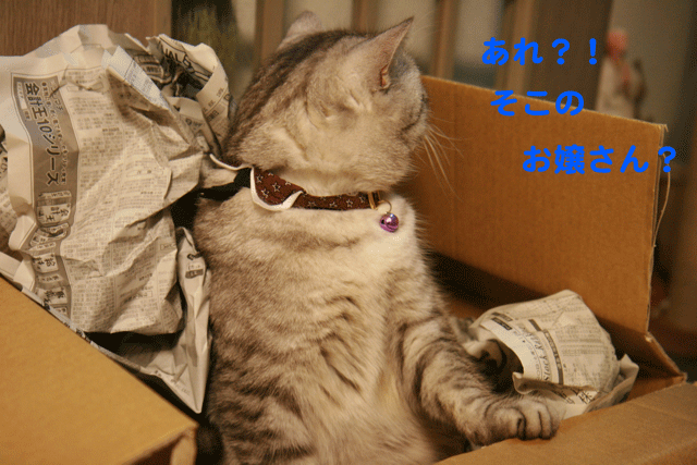 e0158561_2248648.gif