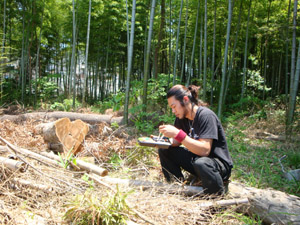オークション会場_f0205962_1426141.jpg