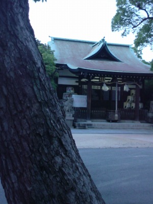 神戸　七宮神社　＊守り猫のいる神社＊_d0141365_21561829.jpg