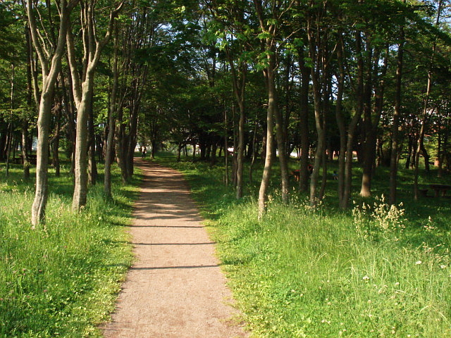 f0132565_7134998.jpg