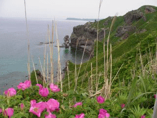b0120968_22203499.gif