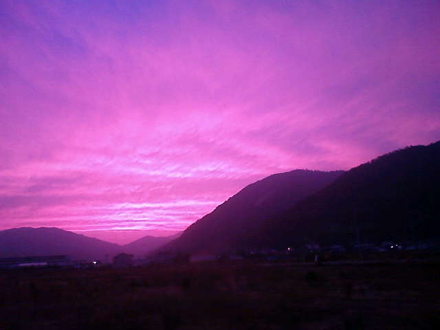 旬です_e0175370_17414587.jpg