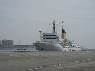 e0143671_1501566.jpg