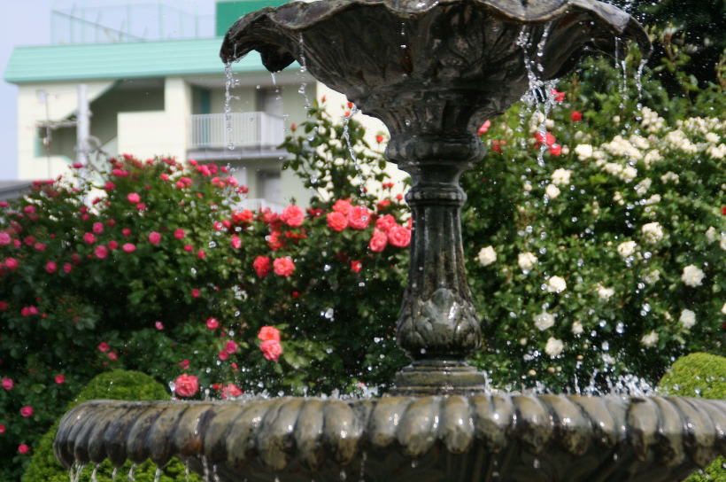 c0112479_18325264.jpg
