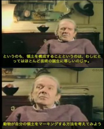 ▼エコの大号令に抗して：「世界の縮減」と「動物になる」こと_d0017381_115157.jpg