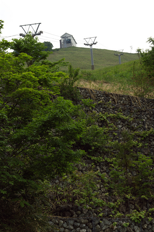 ２００９．５．２３越後湯沢・岩原飯士山ハイキング_f0190989_5312324.jpg