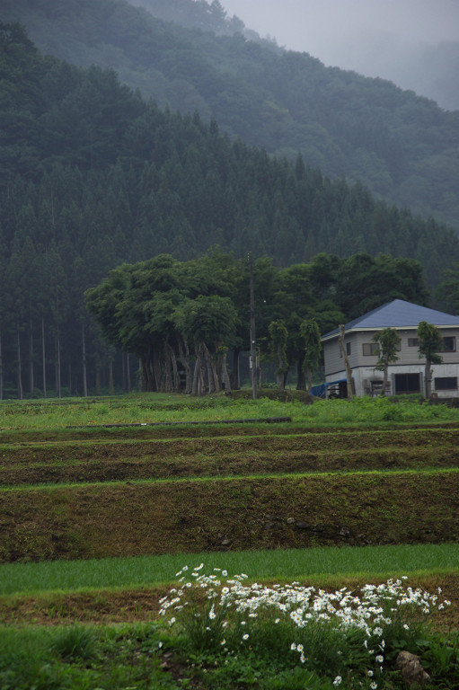 2009．６．１４雨の越後湯沢・庚申塚_f0190989_652079.jpg