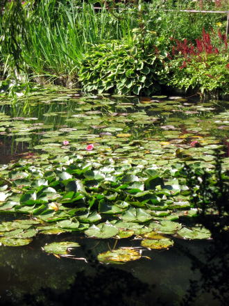 c0090198_62272.jpg
