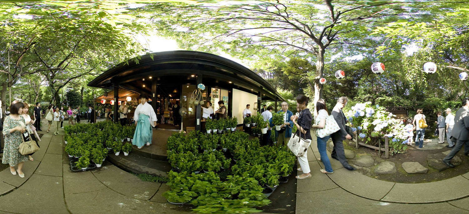 Atago Shrine,Hoozuki Ichi　愛宕神社の「ほおずき市」_d0108602_2316836.jpg