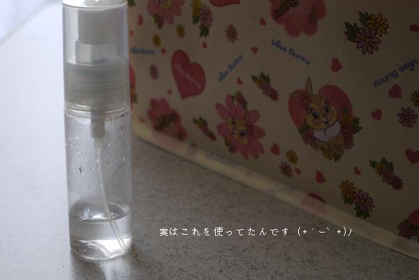 マイバッグのご紹介♪_c0198903_9152510.jpg