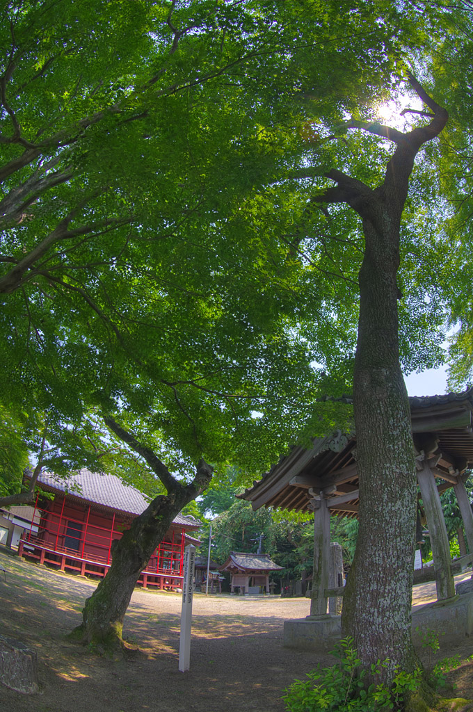 c0180505_20575339.jpg