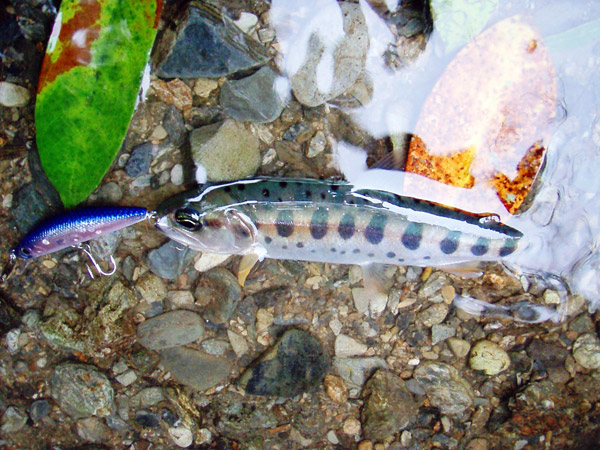 a0097006_23392968.jpg