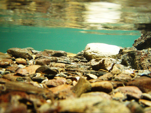 a0097006_23535557.jpg