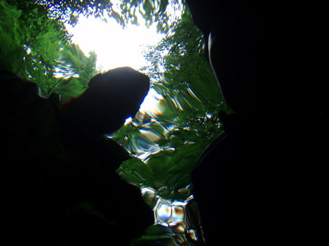 a0097006_23541255.jpg