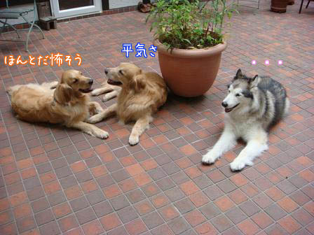 f0064906_17552068.jpg