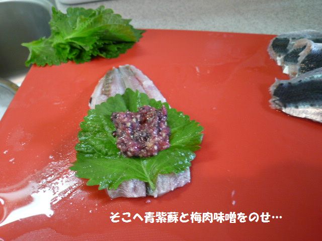 e0094407_23265962.jpg