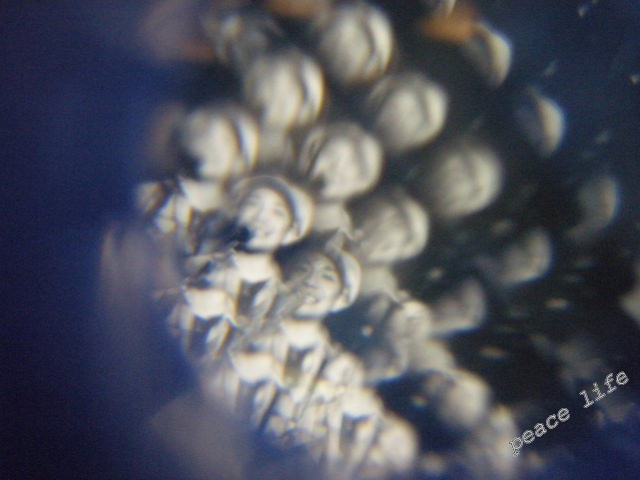 c0049708_0224543.jpg