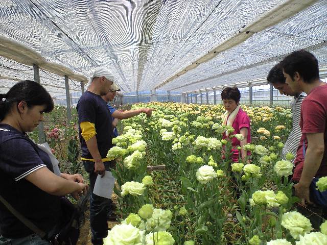 花職産地見学会の様子_d0099708_22463670.jpg