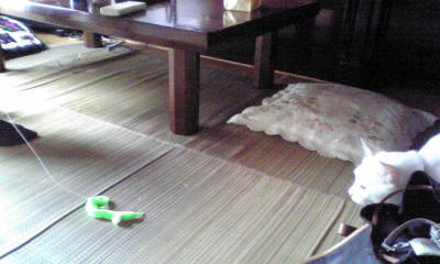 c0180209_21323666.jpg